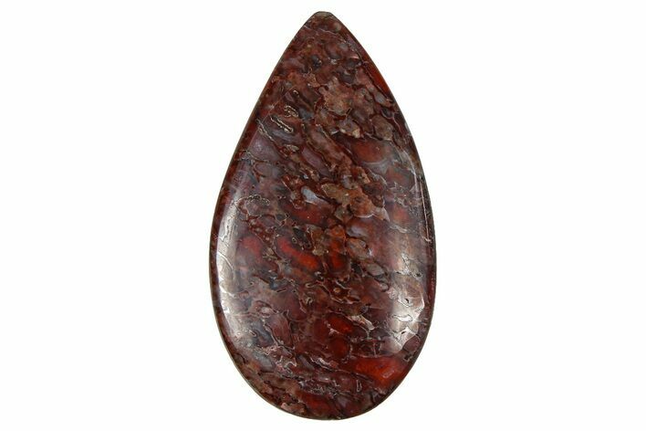Polished Dinosaur Bone (Gembone) Cabochon - Colorado #370772